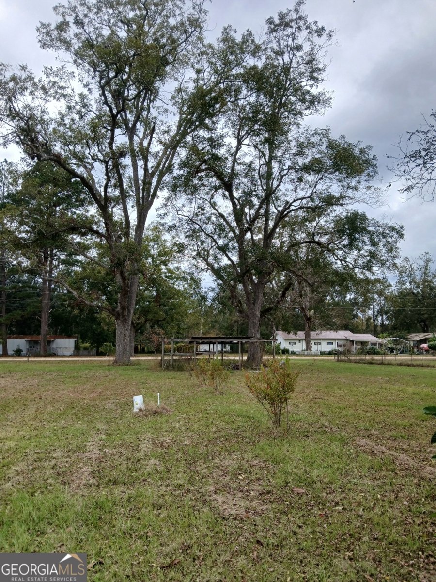 2335 Railroad Bed Road Brooklet - 19