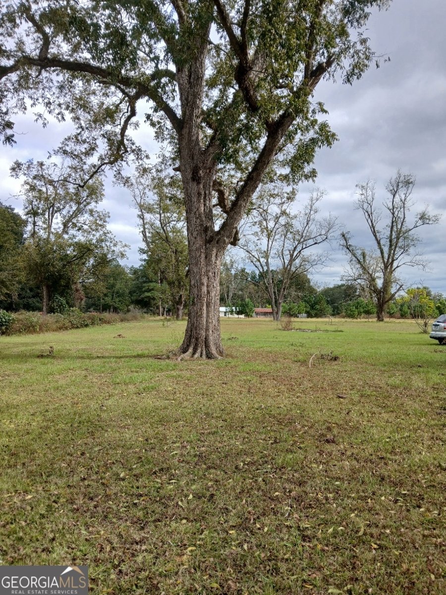 2335 Railroad Bed Road Brooklet - 33