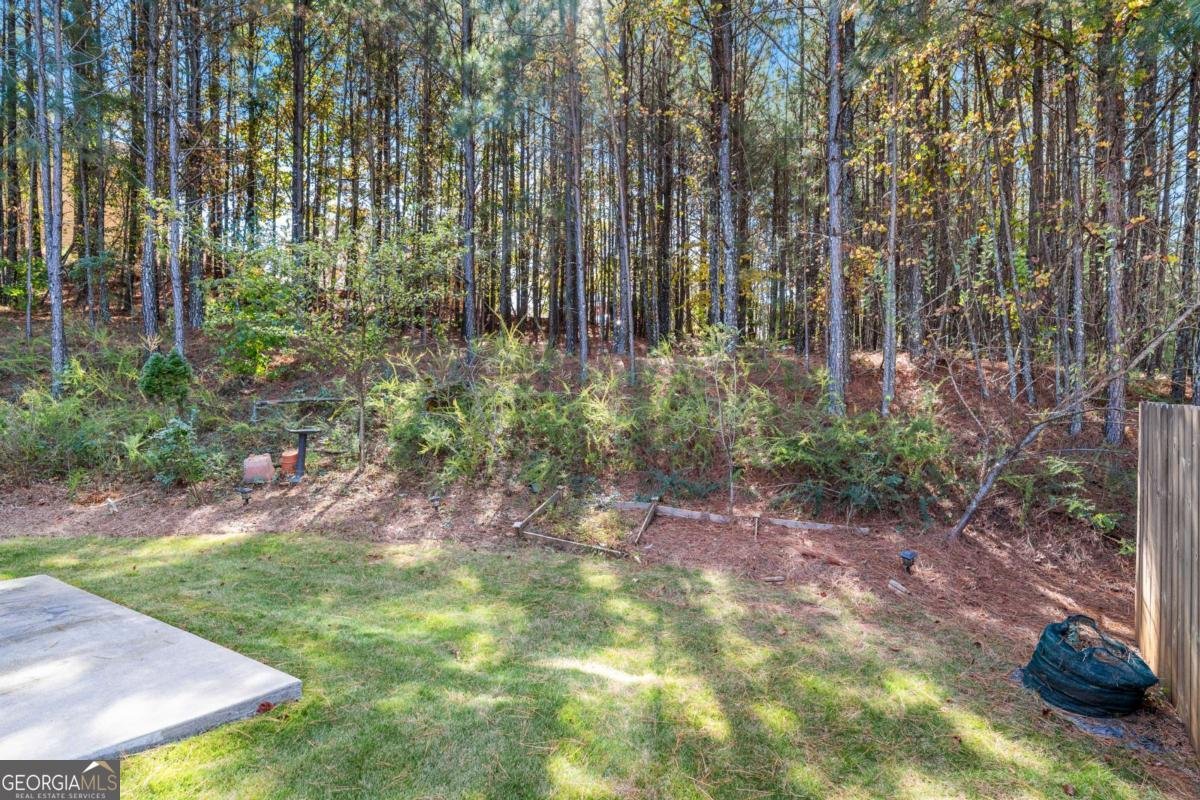 702 Barberry Drive Woodstock - 19