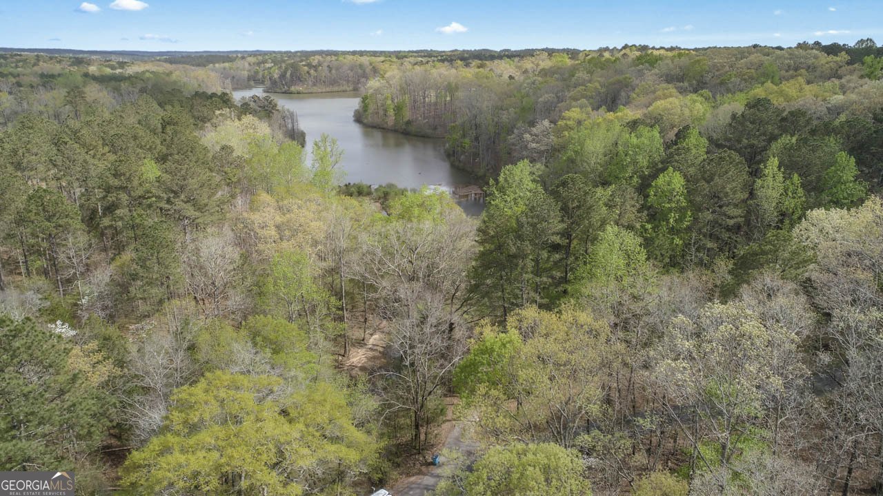 655 Sunset Drive Locust Grove - 20