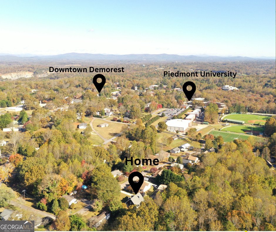 198 Hickory Avenue Demorest - 2