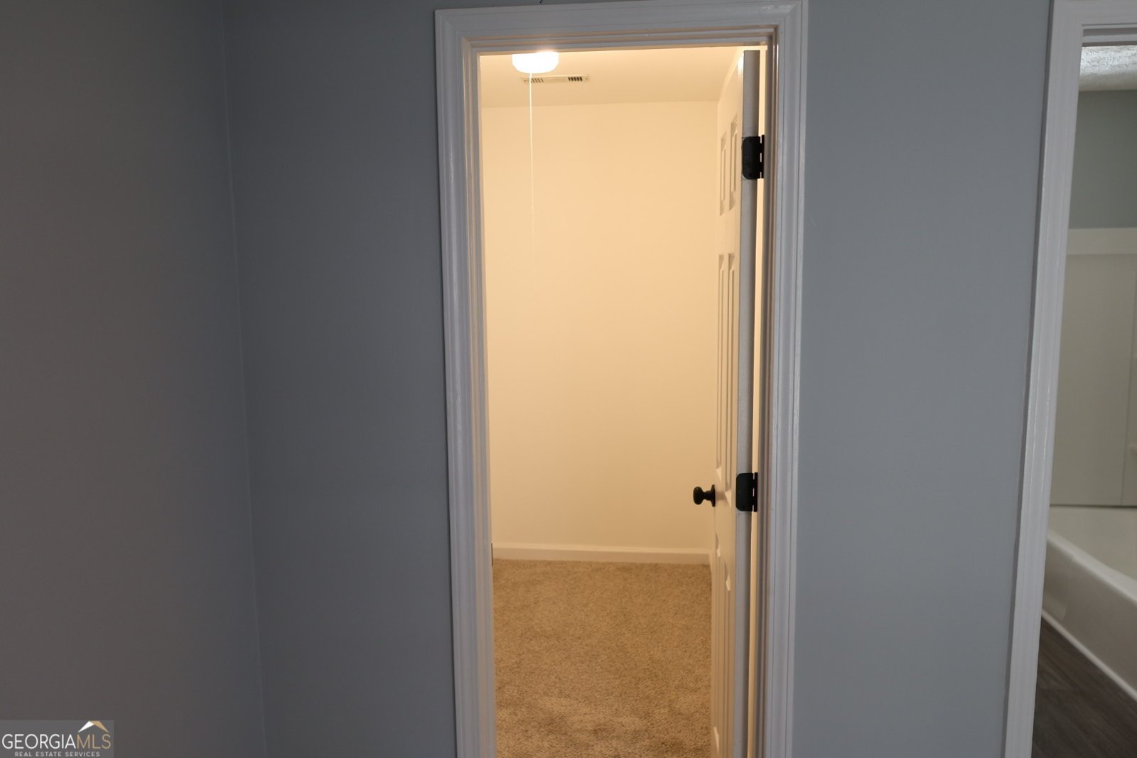 198 Hickory Avenue Demorest - 38