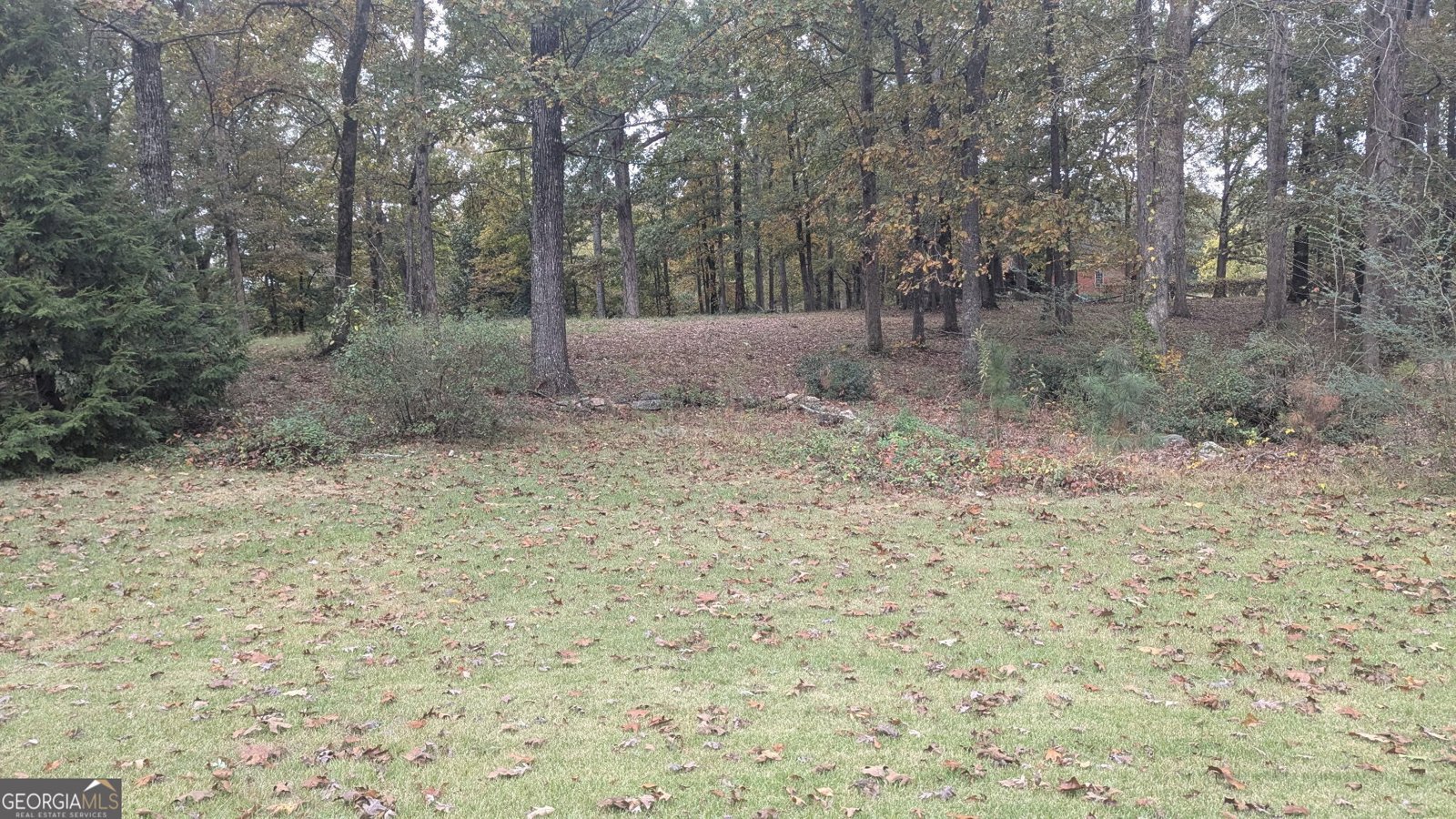 300 113 Highway Carrollton - 18