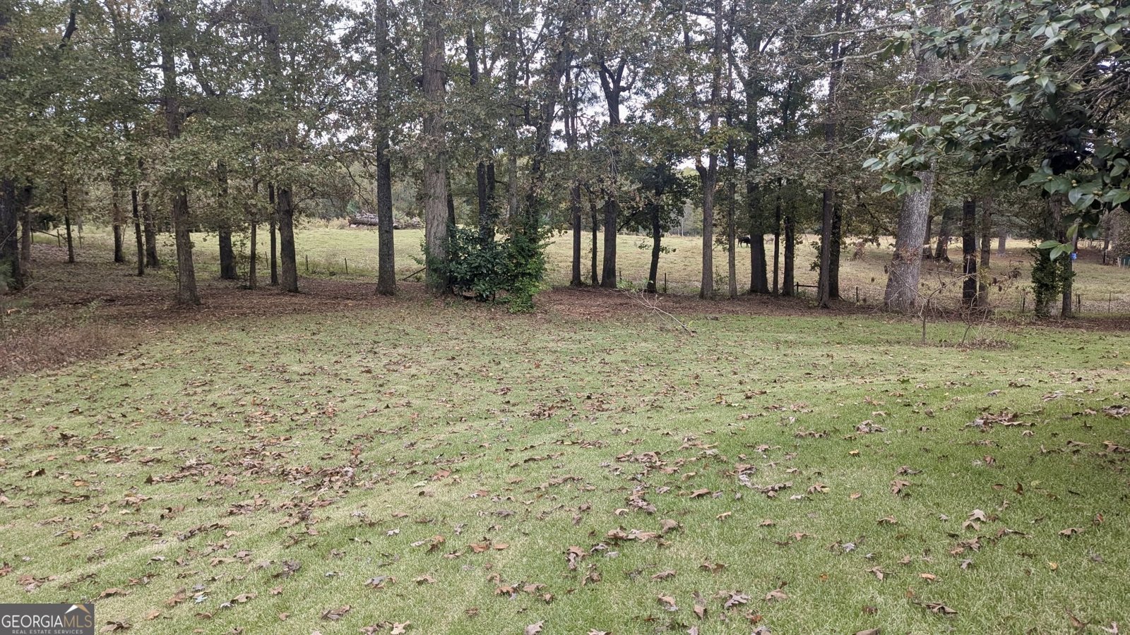 300 113 Highway Carrollton - 19