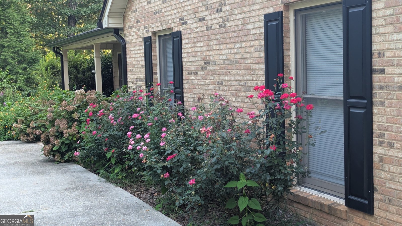 300 113 Highway Carrollton - 4