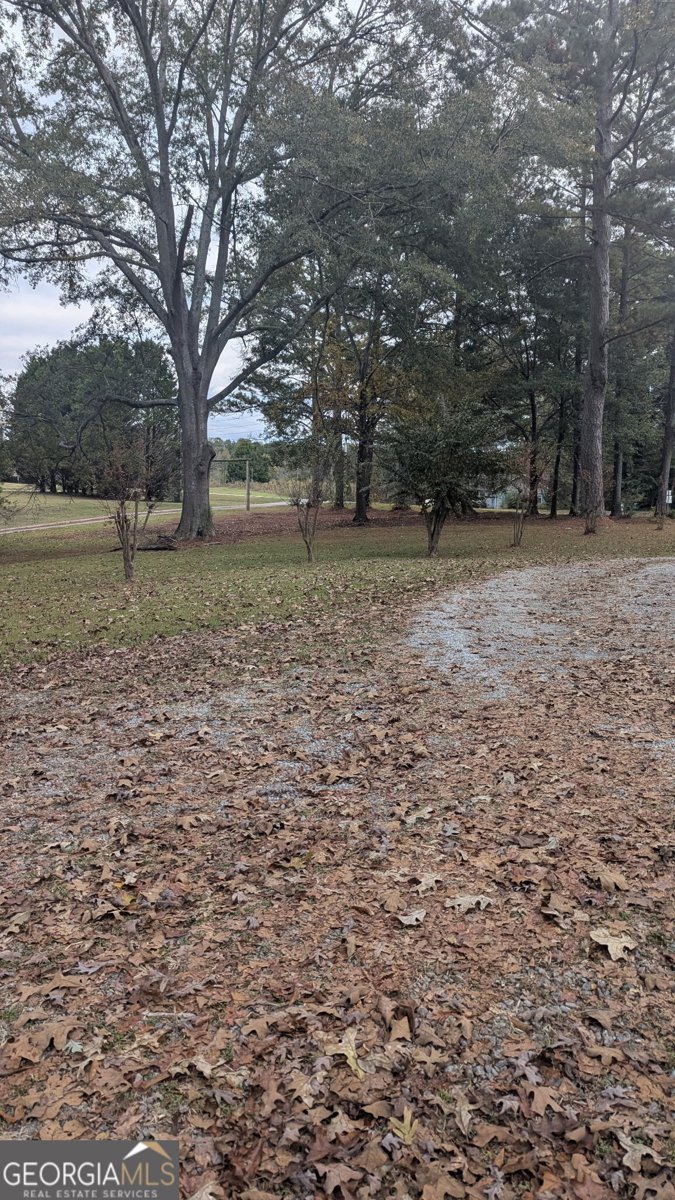 300 113 Highway Carrollton - 8