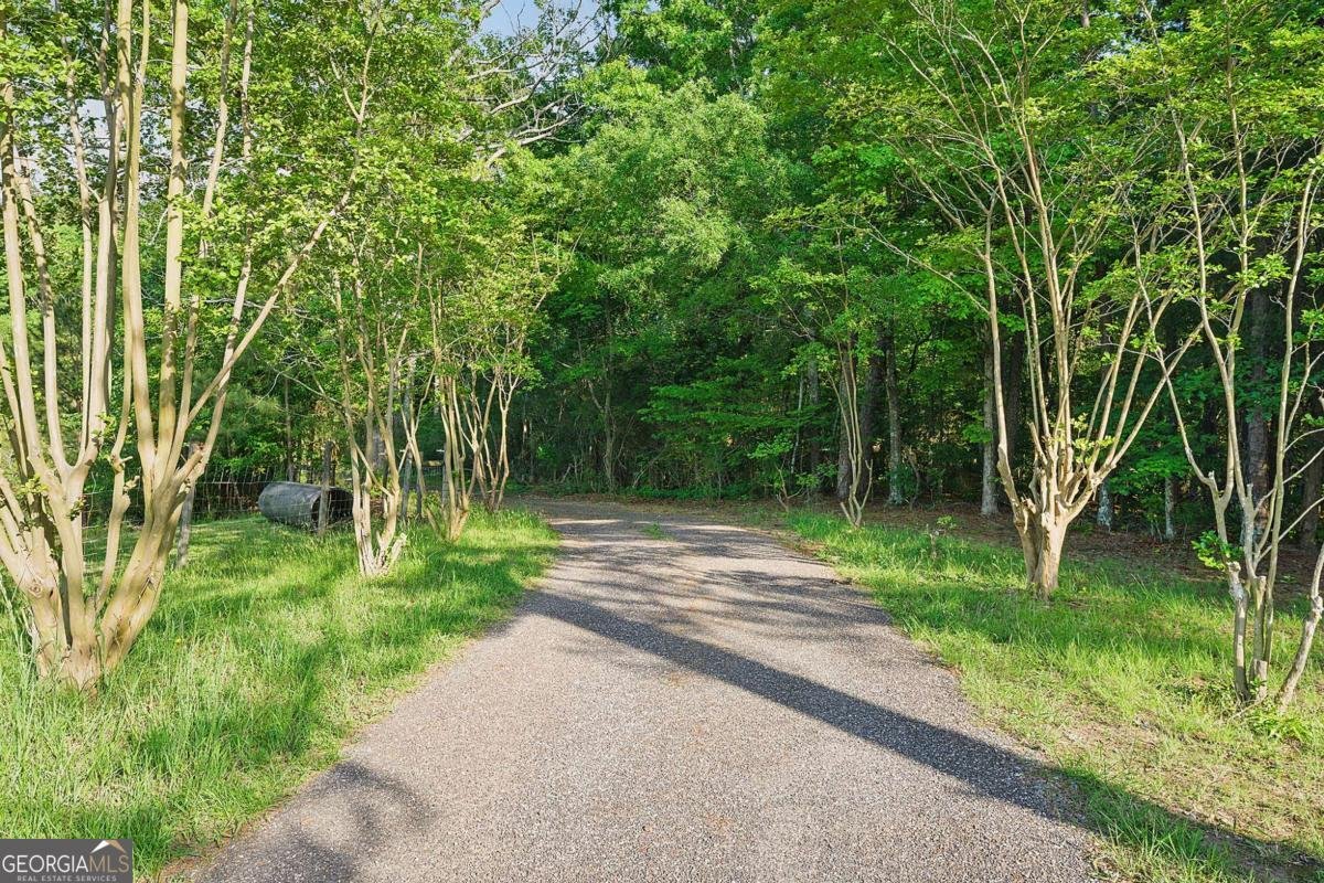 87 Old Martin Road Cartersville - 13