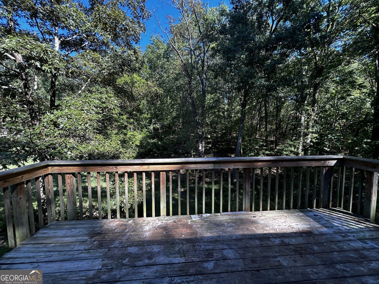 195 Bobwhite Path Dallas - 31