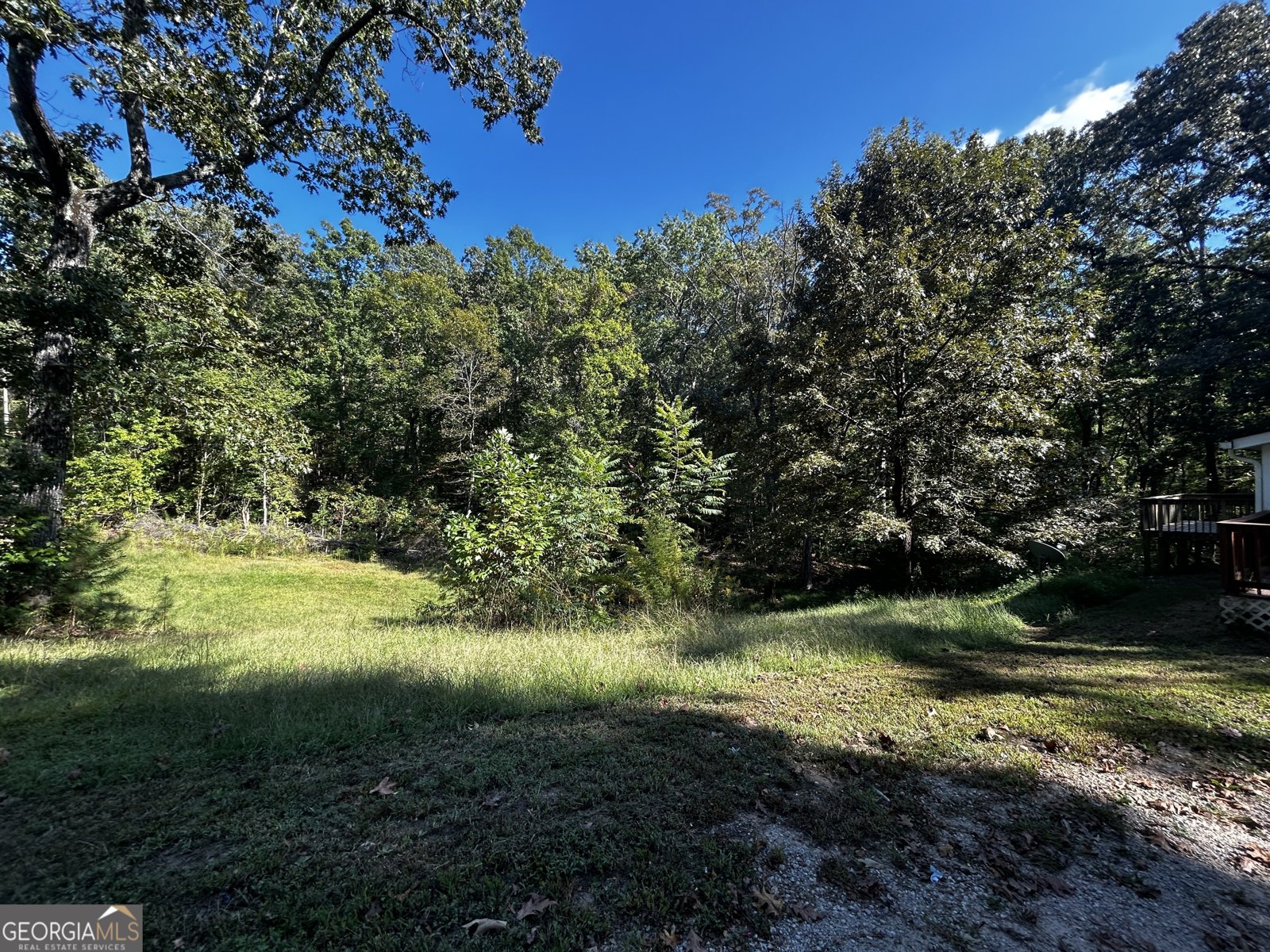 195 Bobwhite Path Dallas - 45