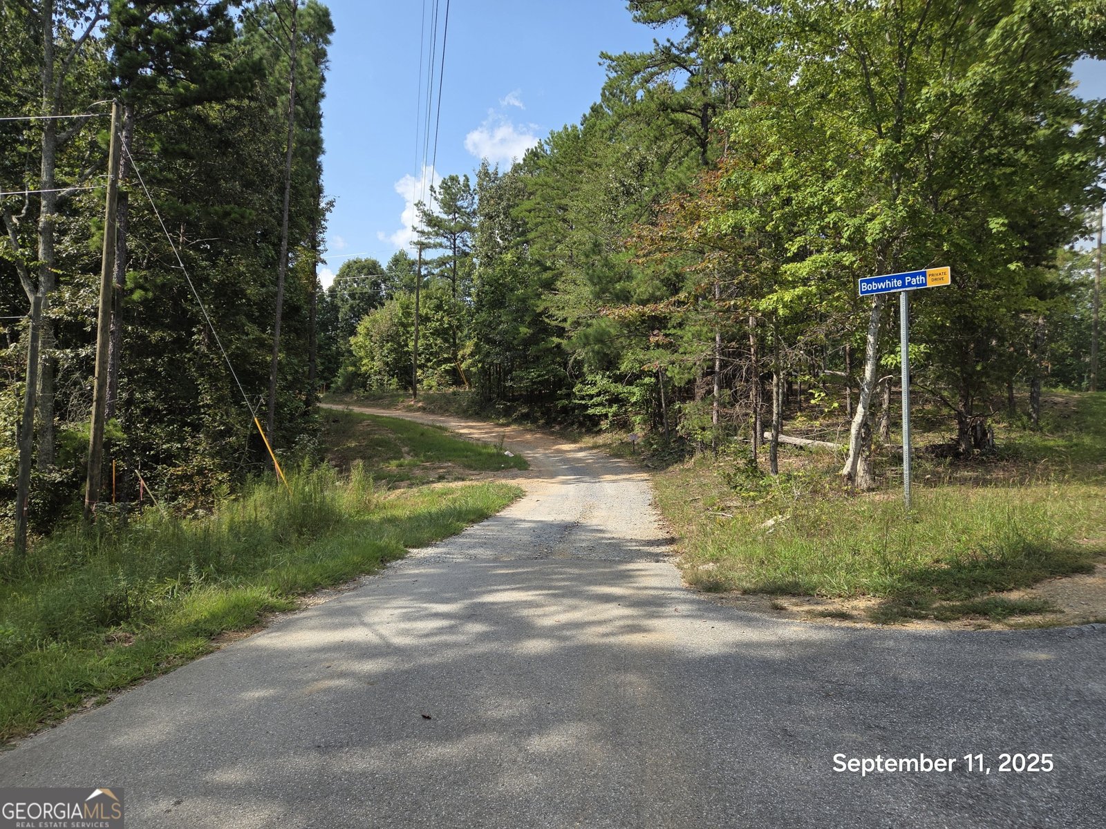 195 Bobwhite Path Dallas - 49