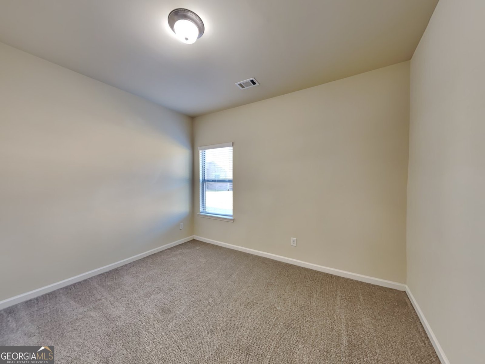 969 Spanish Moss Trail Loganville - 13