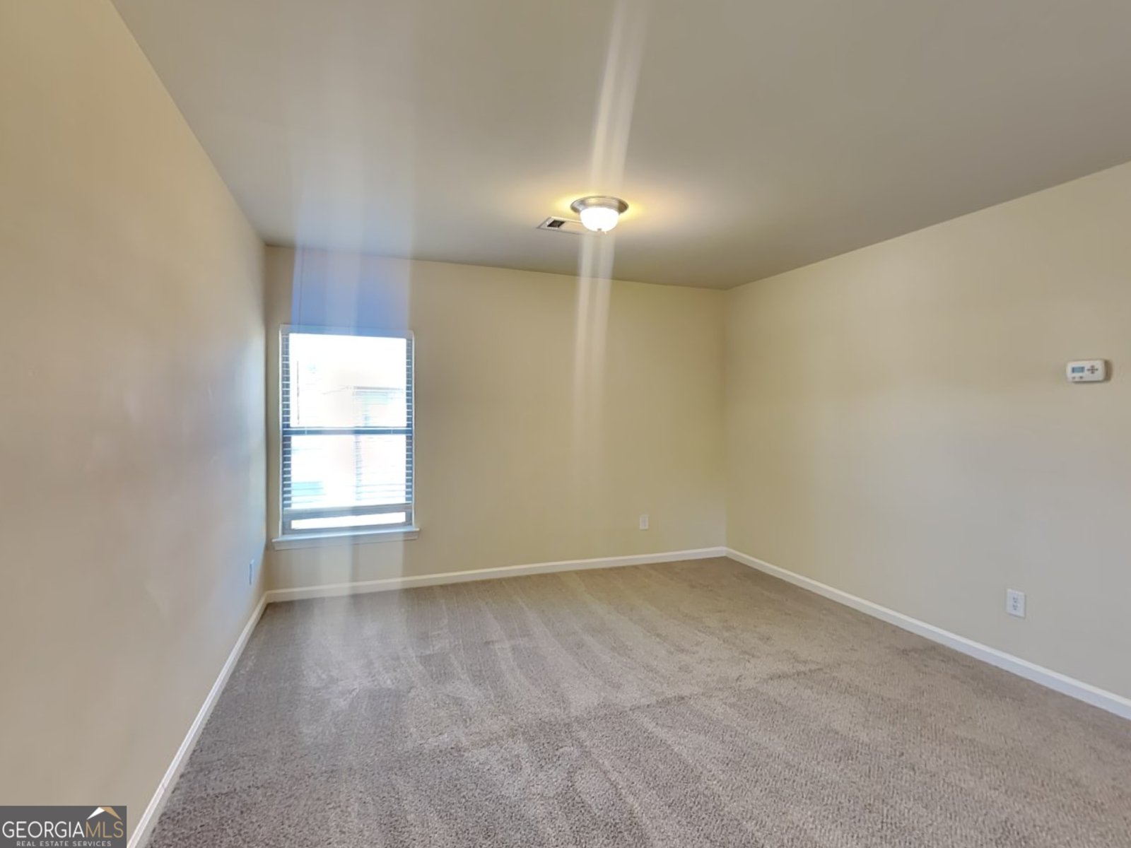 969 Spanish Moss Trail Loganville - 15