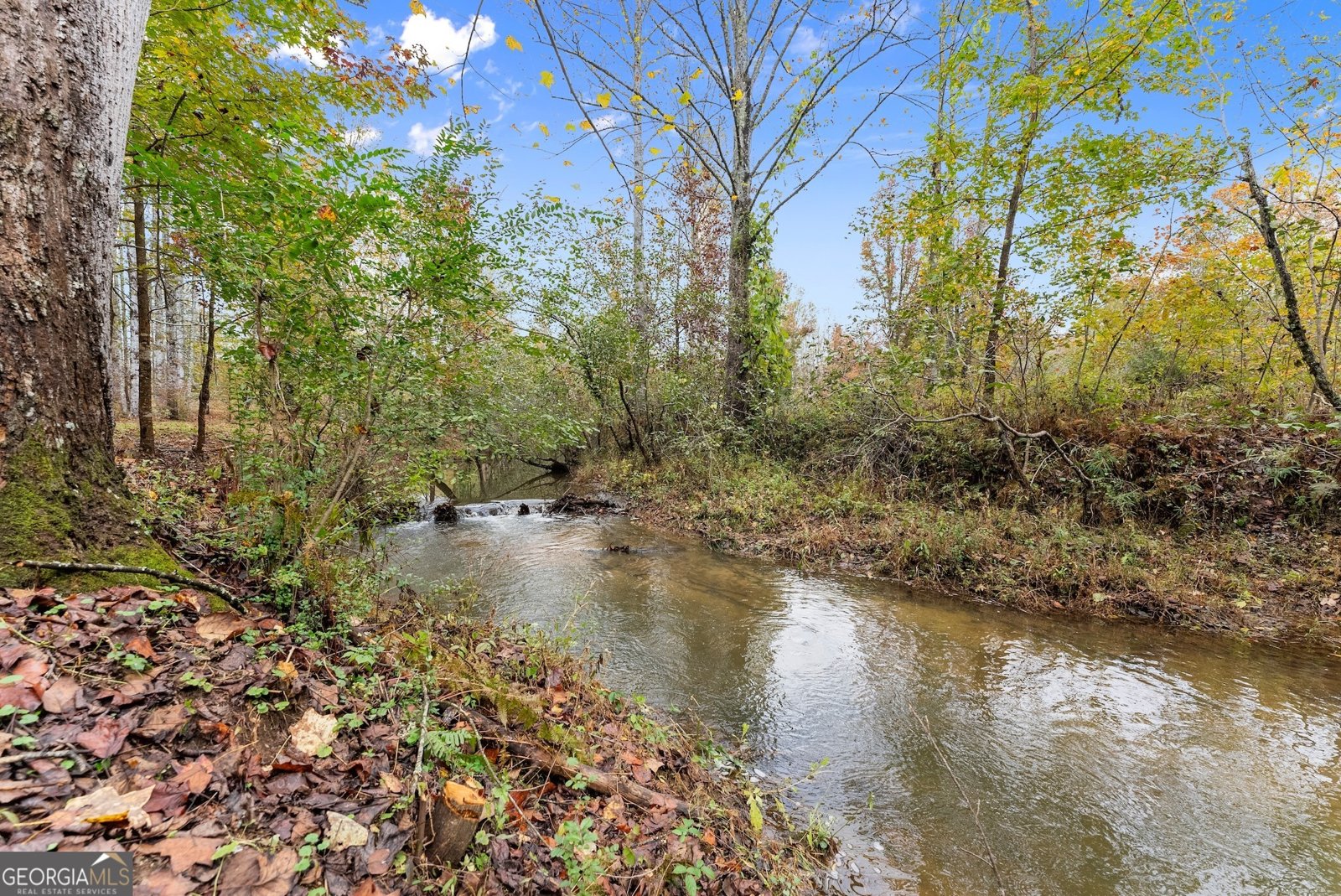 488 Hwy 75 Alt Cleveland - 2