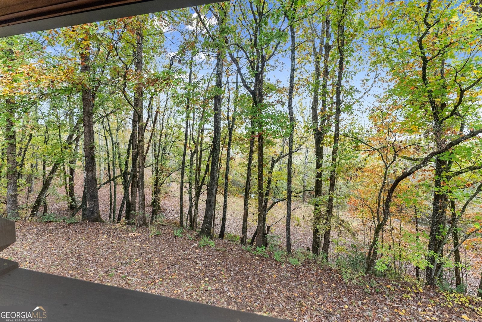 488 Hwy 75 Alt Cleveland - 32