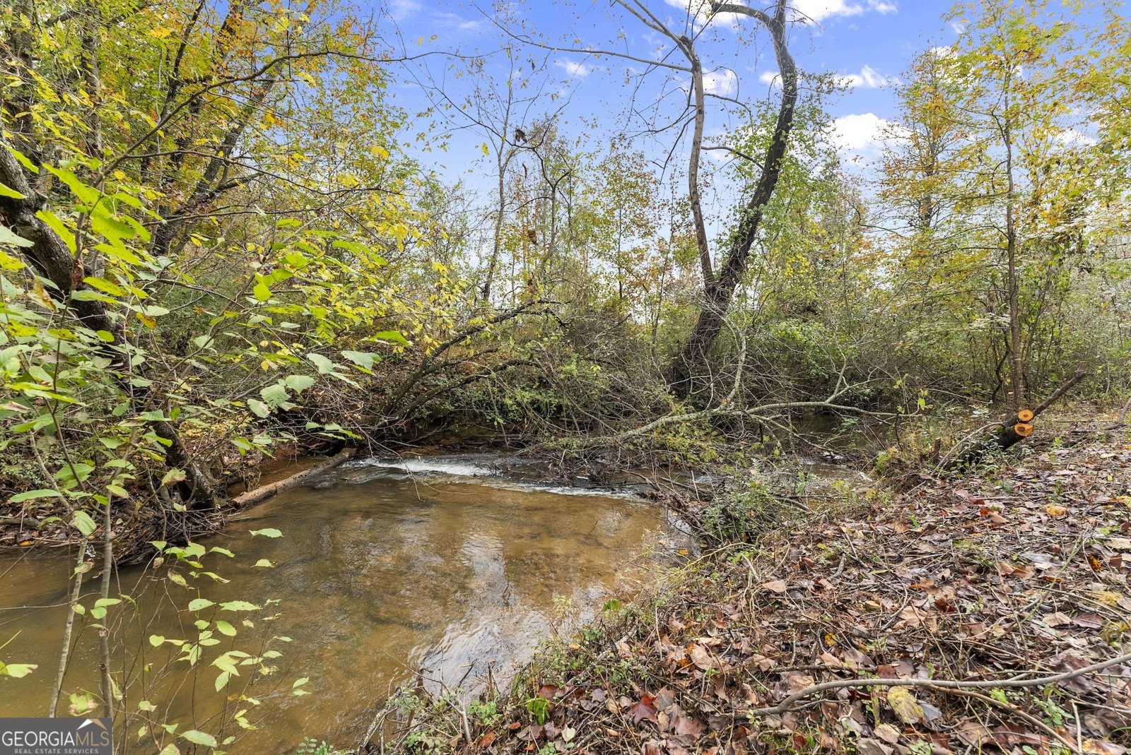 488 Hwy 75 Alt Cleveland - 39