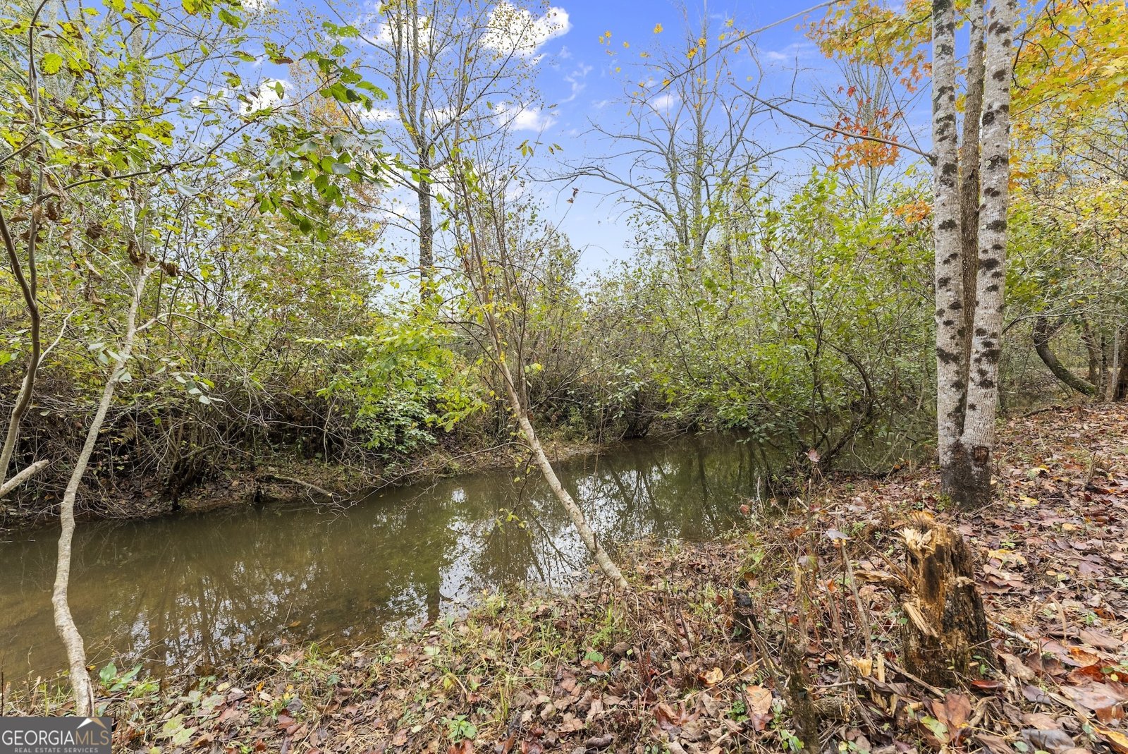 488 Hwy 75 Alt Cleveland - 40