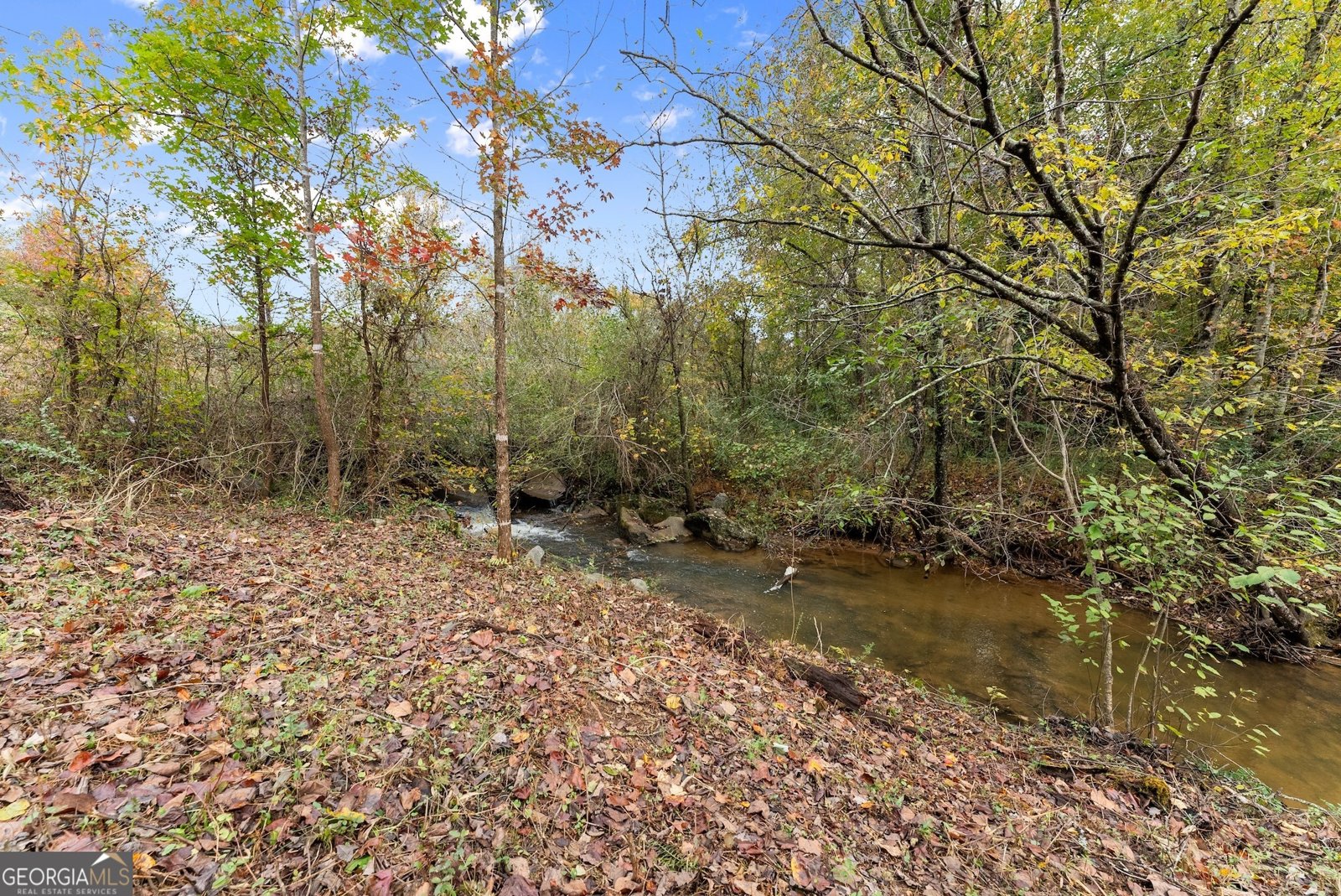 488 Hwy 75 Alt Cleveland - 41