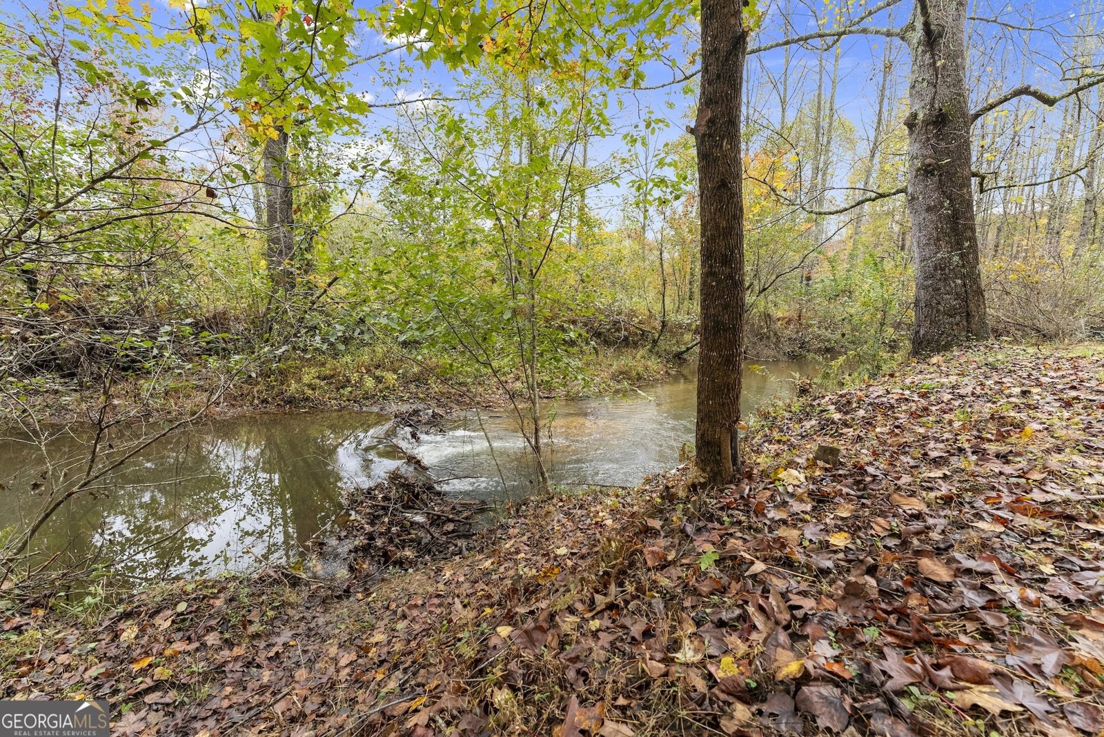 488 Hwy 75 Alt Cleveland - 42