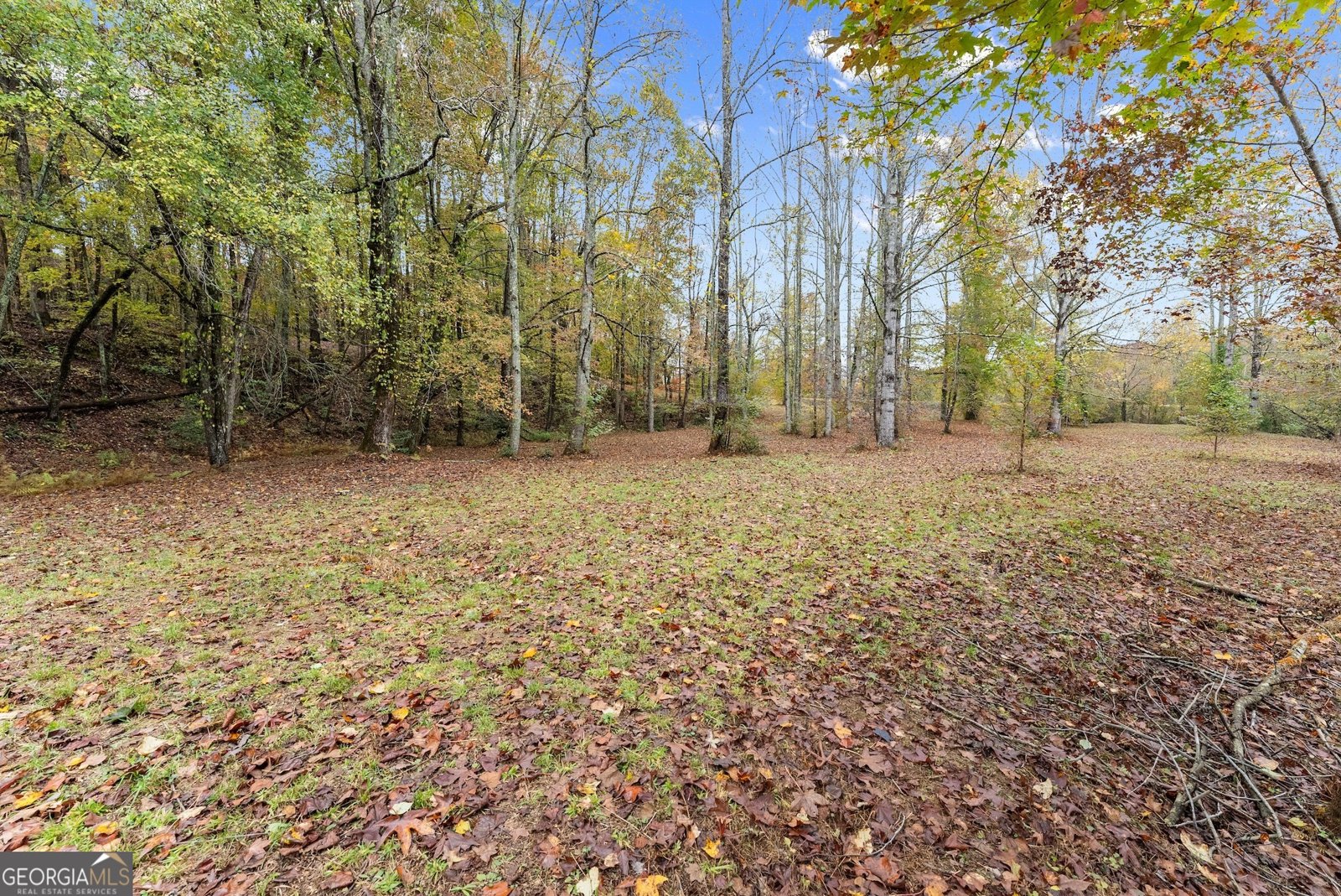 488 Hwy 75 Alt Cleveland - 44