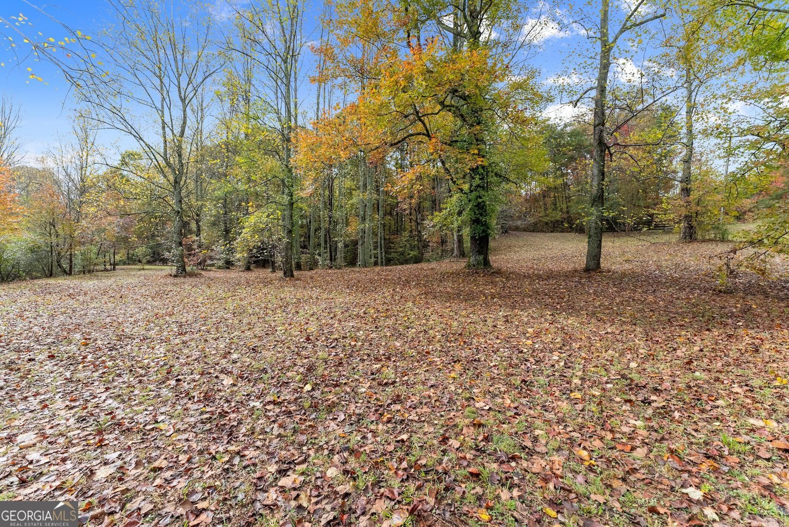 488 Hwy 75 Alt Cleveland - 45