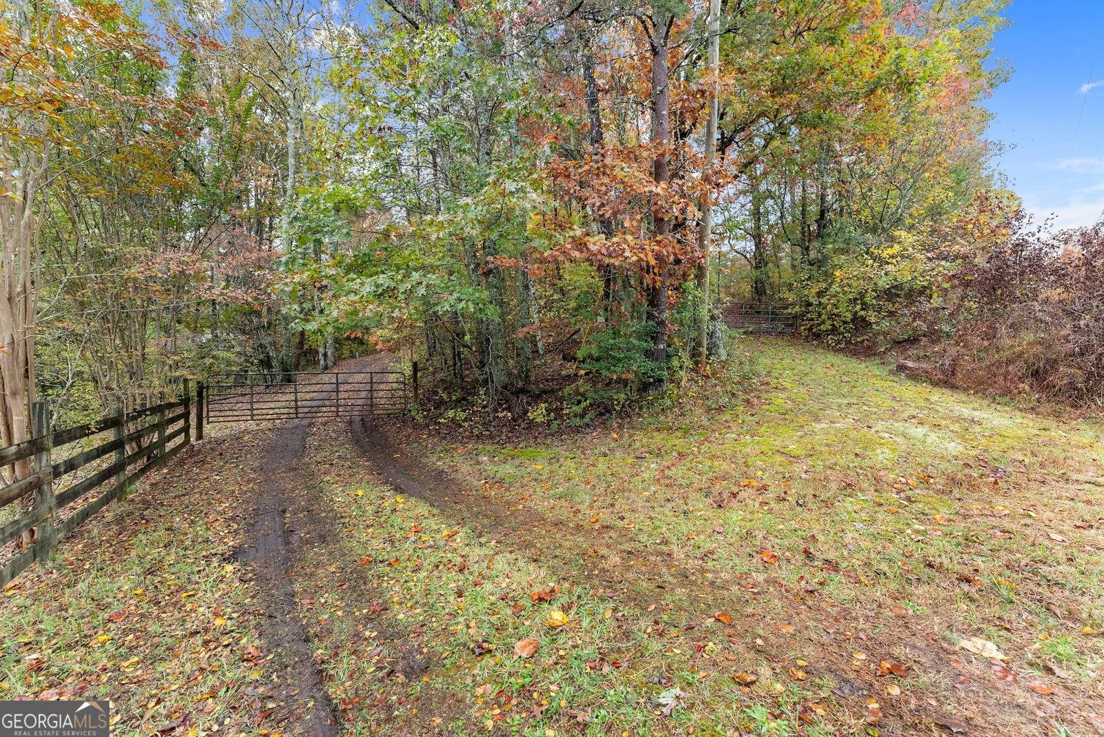 488 Hwy 75 Alt Cleveland - 46