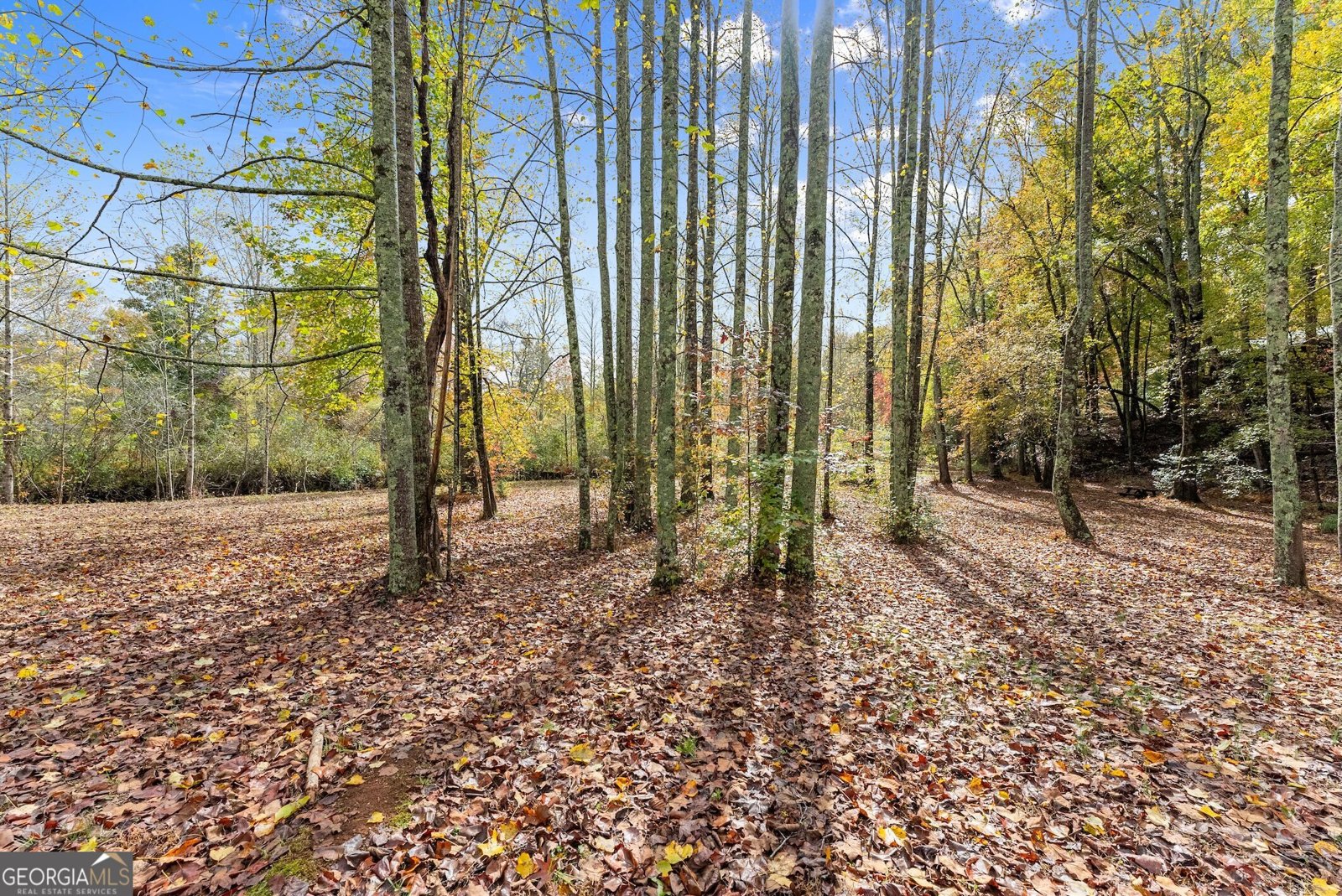 488 Hwy 75 Alt Cleveland - 47