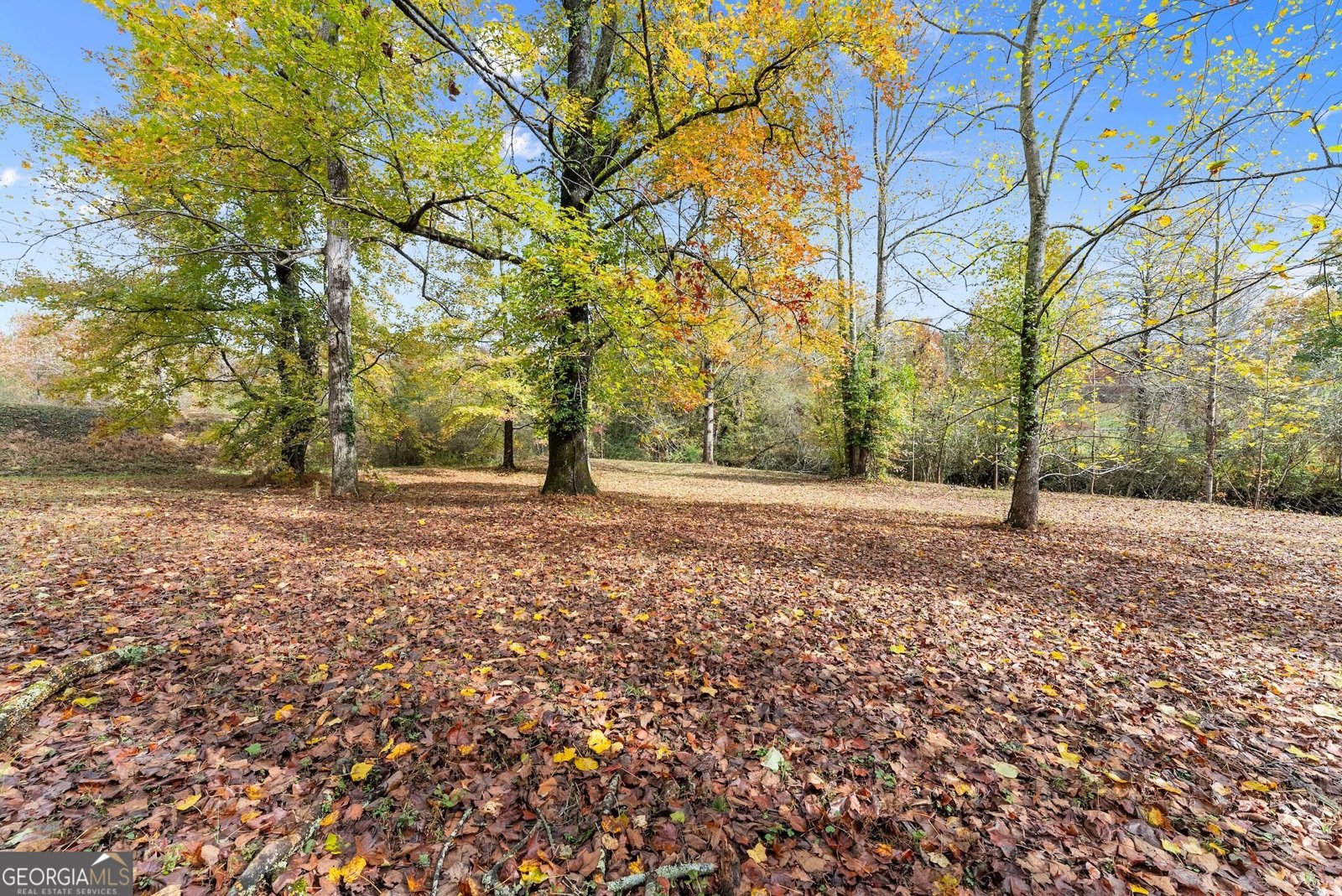 488 Hwy 75 Alt Cleveland - 48