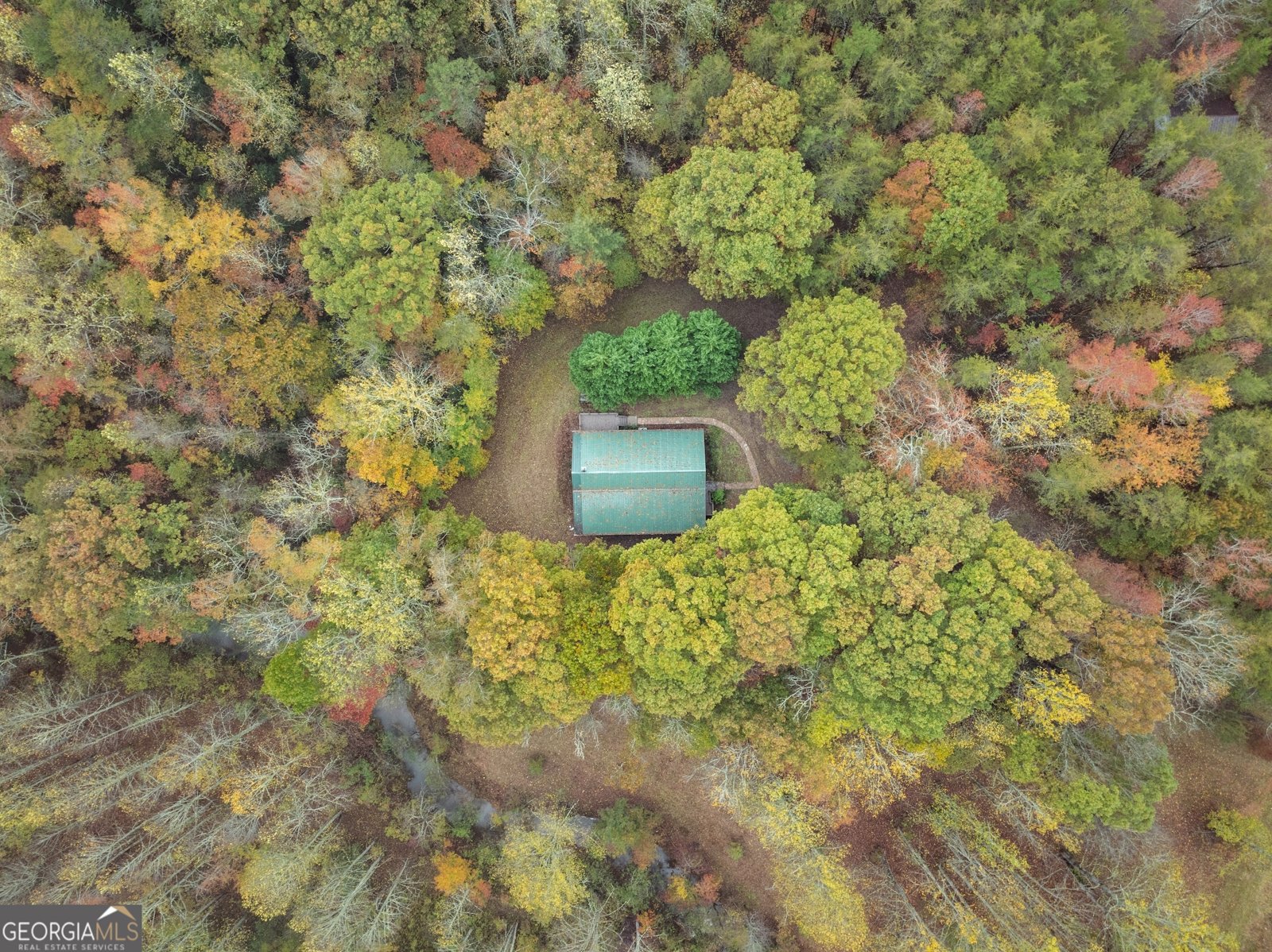 488 Hwy 75 Alt Cleveland - 49