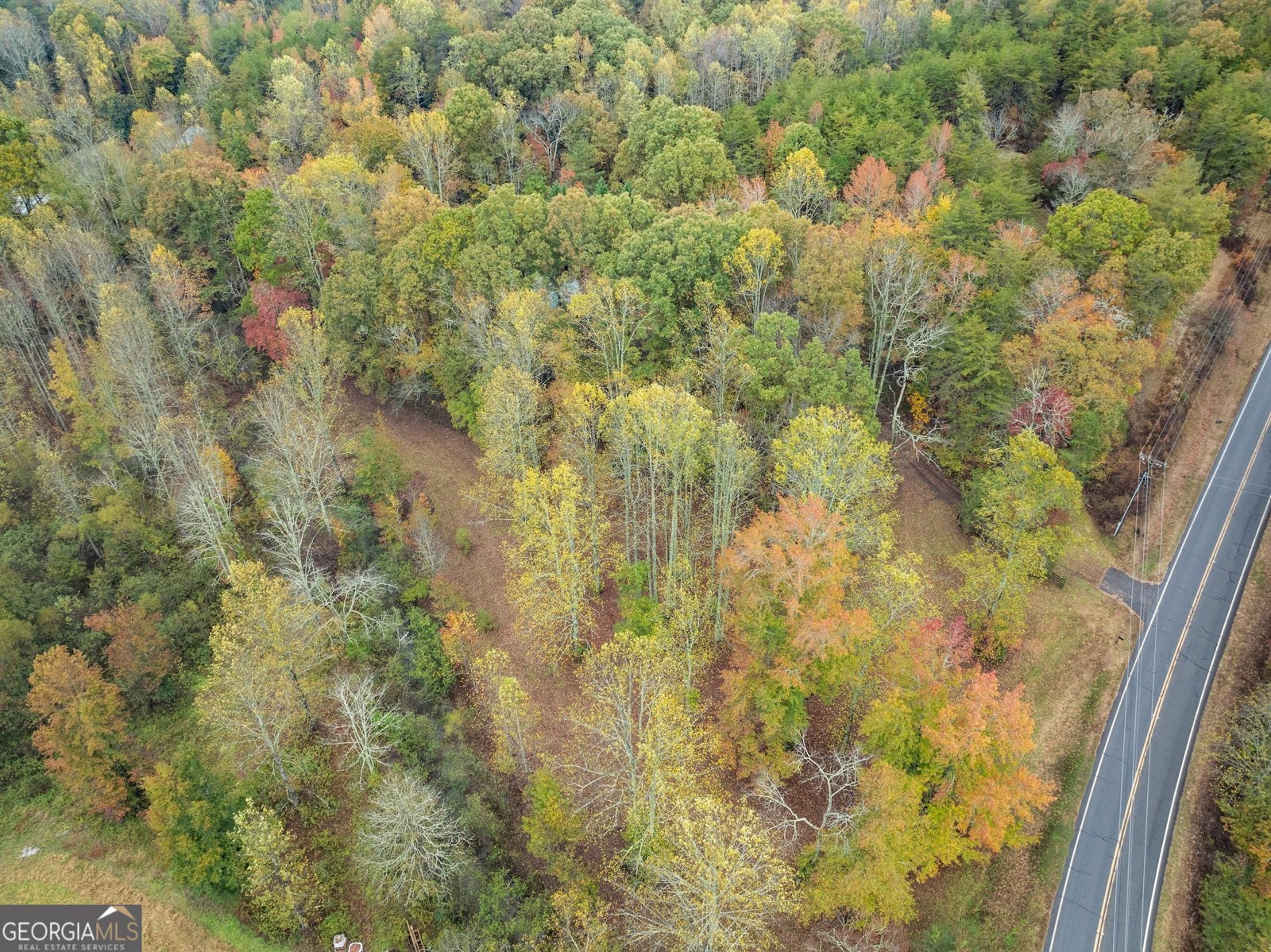 488 Hwy 75 Alt Cleveland - 50