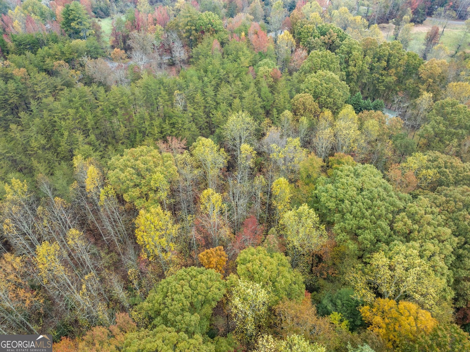 488 Hwy 75 Alt Cleveland - 52