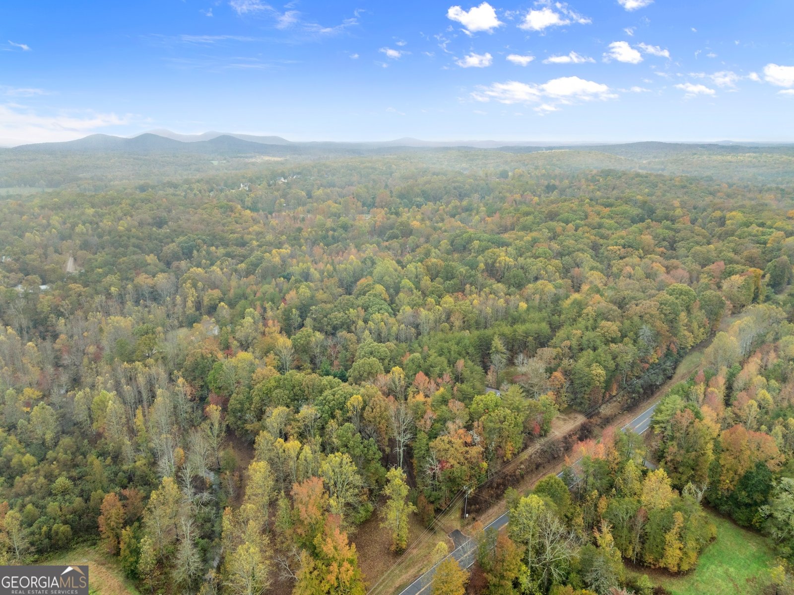 488 Hwy 75 Alt Cleveland - 56