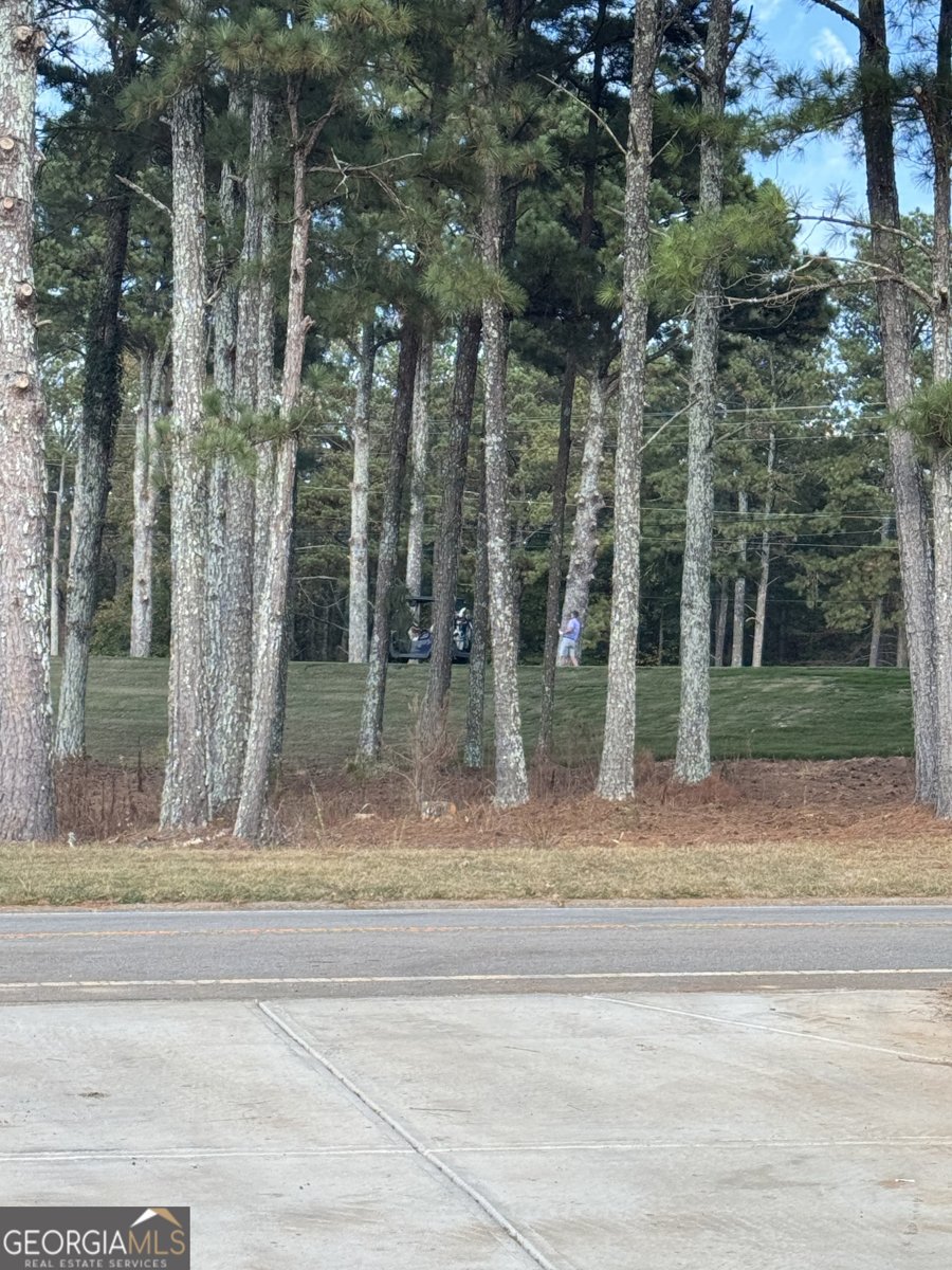 103 BIRKDALE Boulevard Carrollton - 1