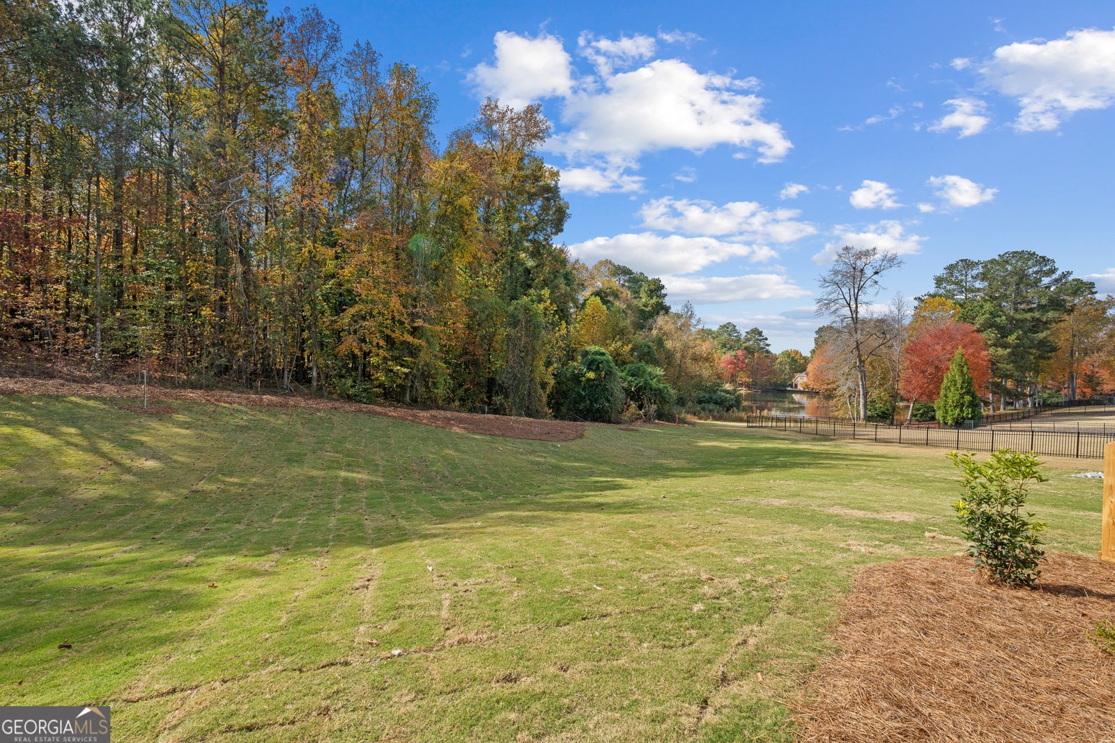 103 BIRKDALE Boulevard Carrollton - 64