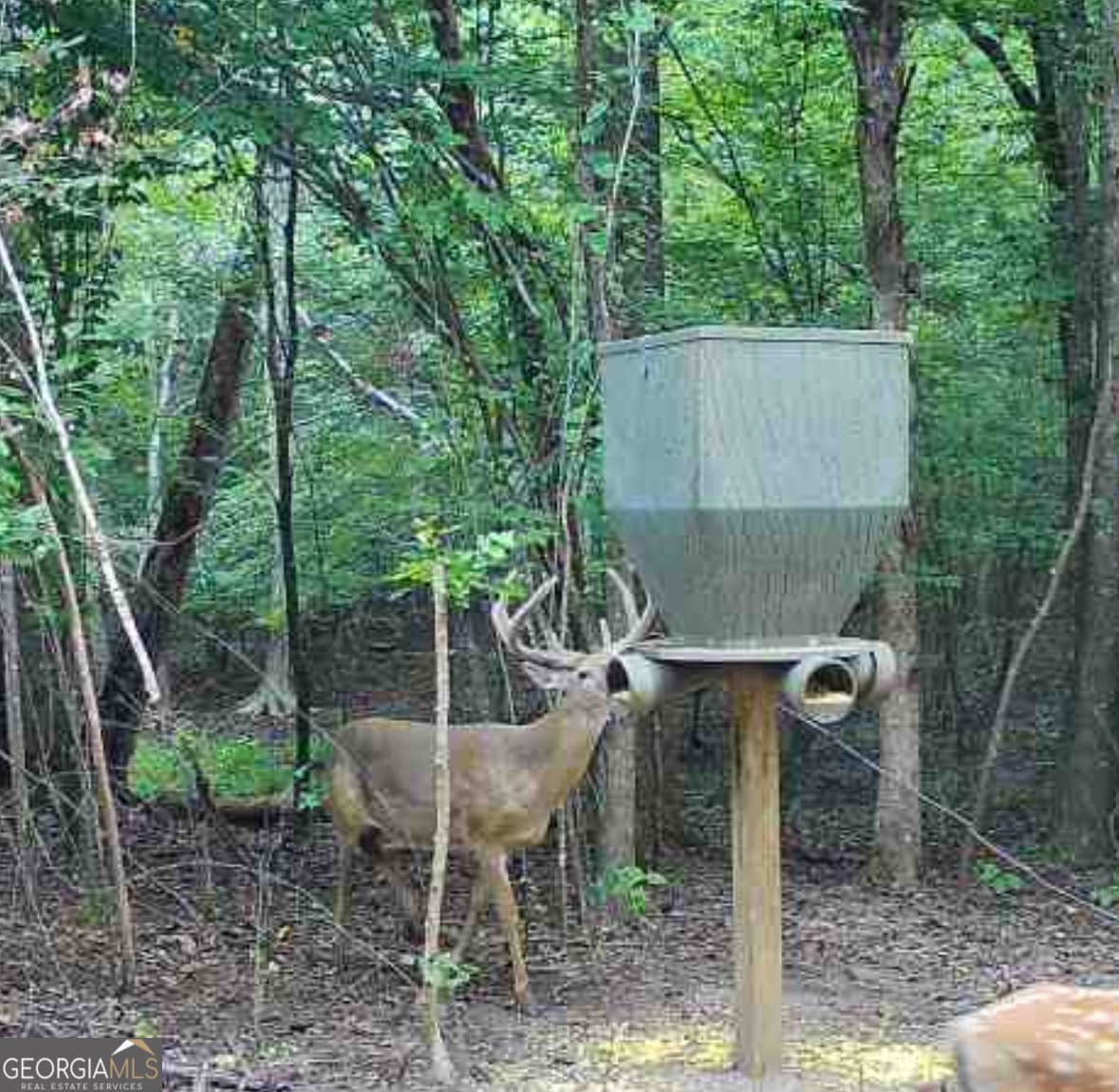 500 Old Milledgeville Road Cochran - 34