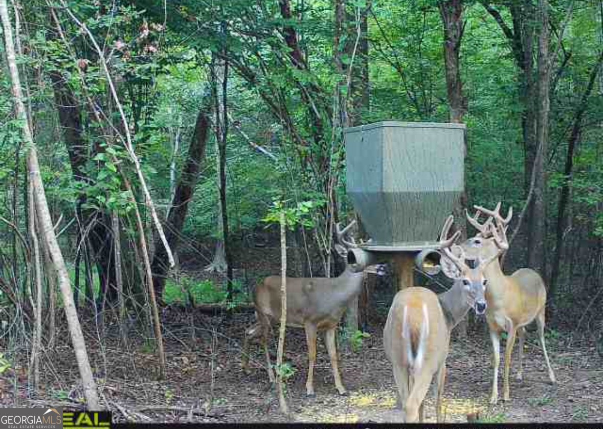 500 Old Milledgeville Road Cochran - 35