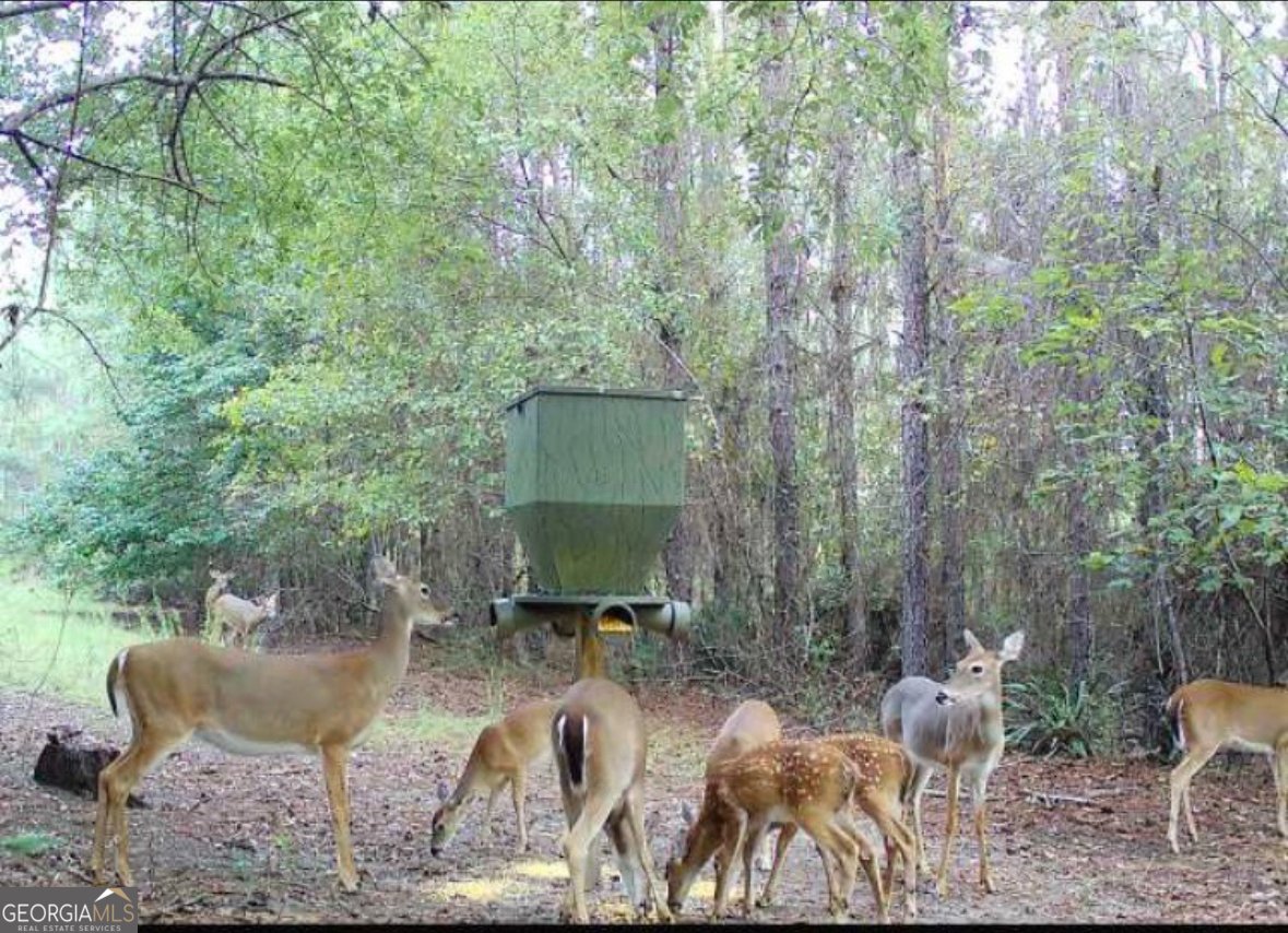 500 Old Milledgeville Road Cochran - 36