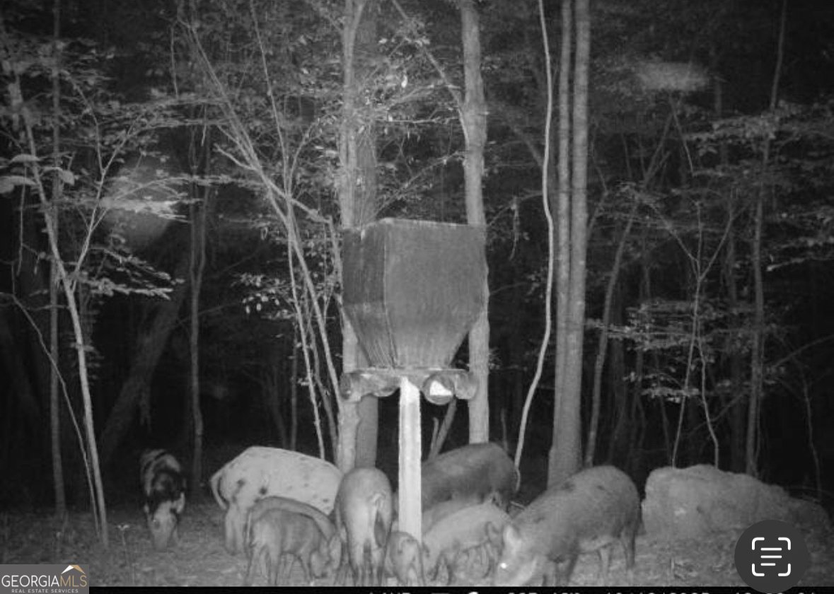 500 Old Milledgeville Road Cochran - 37