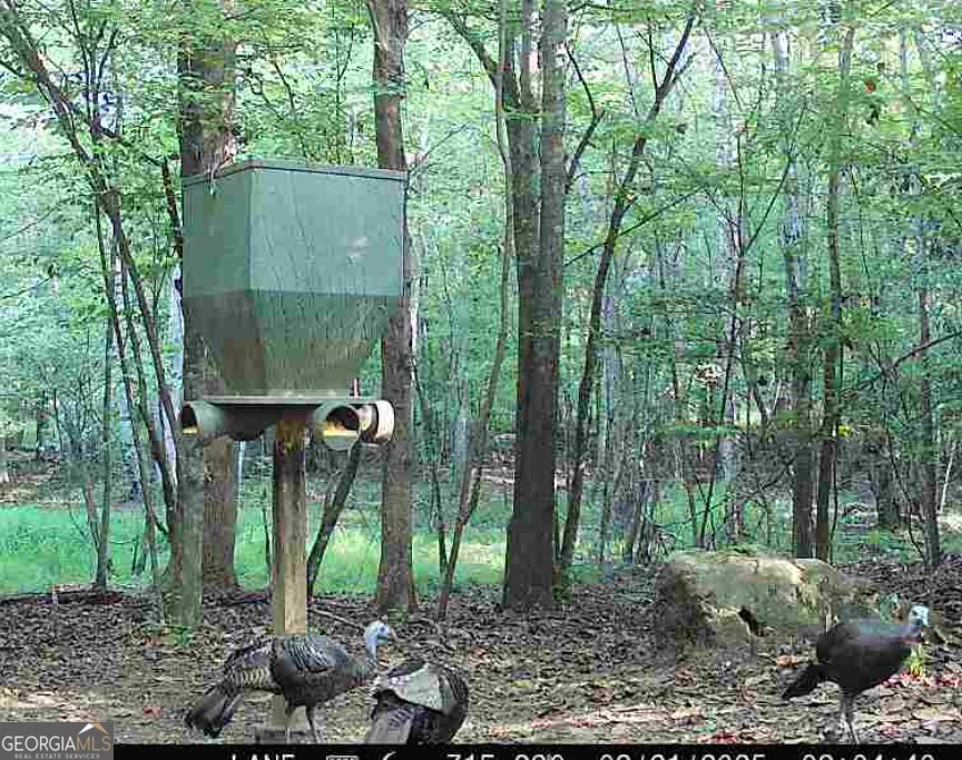 500 Old Milledgeville Road Cochran - 38