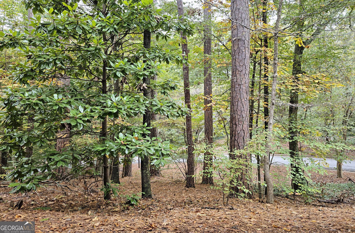 100 River Ridge Lane Roswell - 2