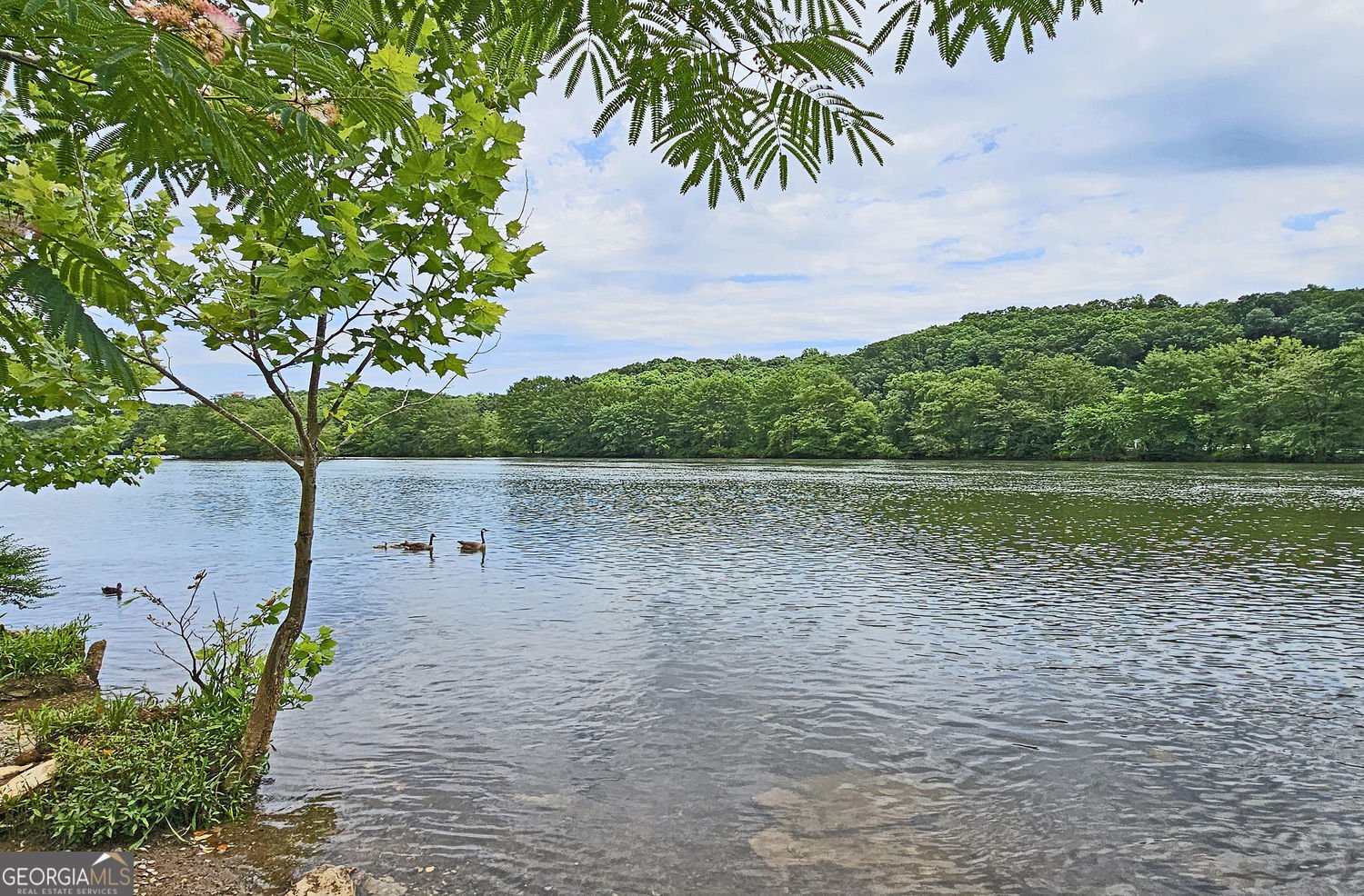 100 River Ridge Lane Roswell - 4