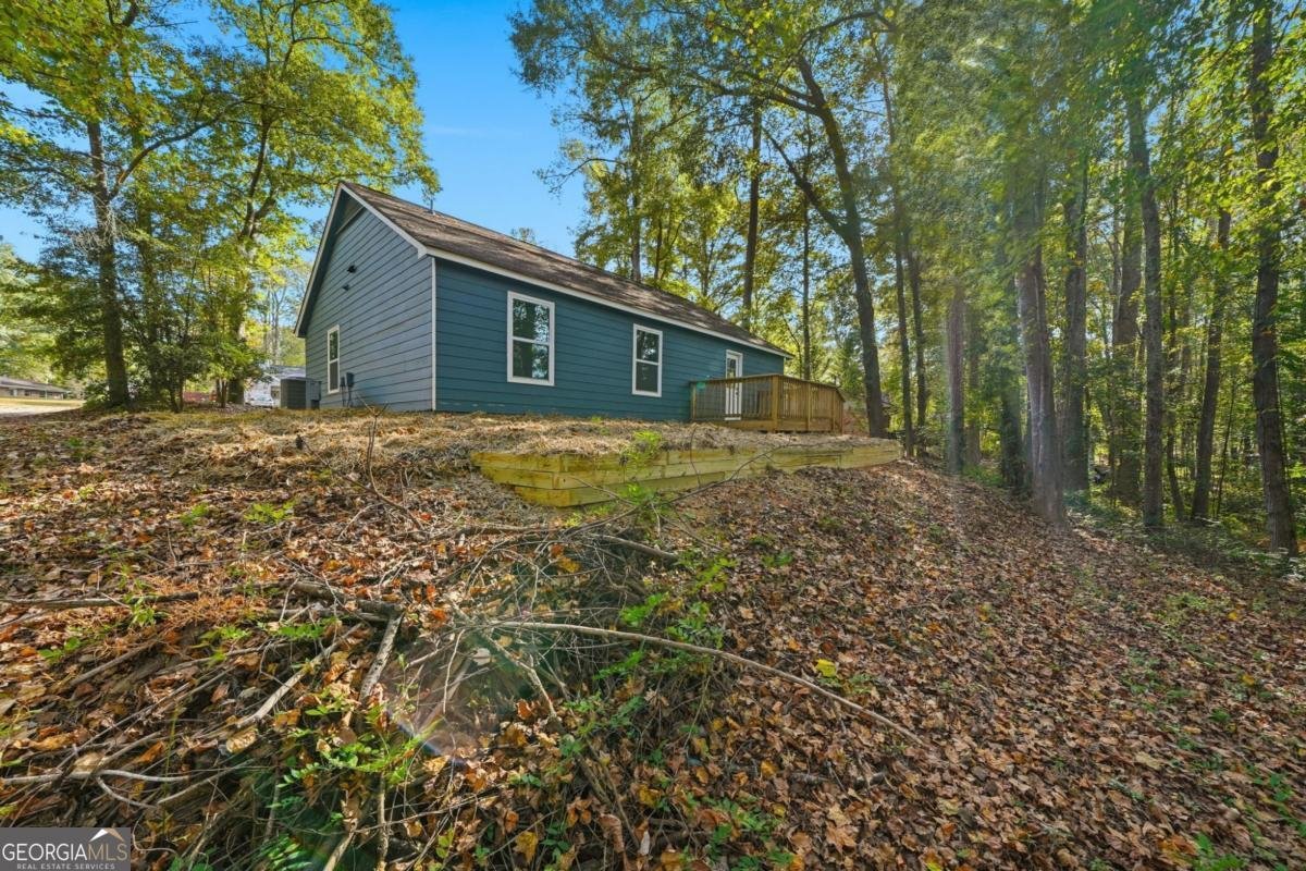 113 Beaver Dam Road Peachtree City - 26