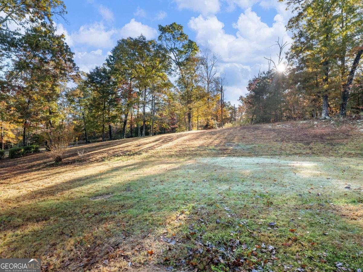 849 BLACKSNAKE Road Mount Airy - 26