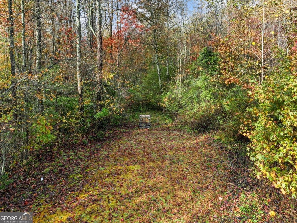 849 BLACKSNAKE Road Mount Airy - 31