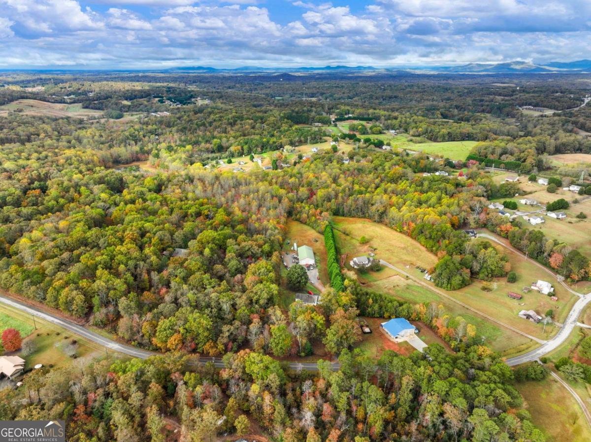 849 BLACKSNAKE Road Mount Airy - 38