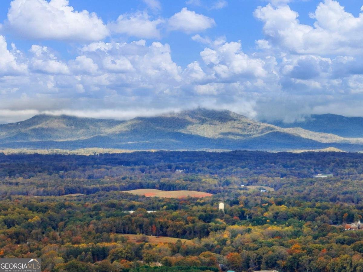 849 BLACKSNAKE Road Mount Airy - 39