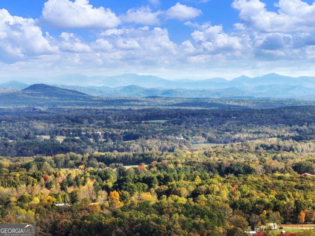 849 BLACKSNAKE Road Mount Airy - 40