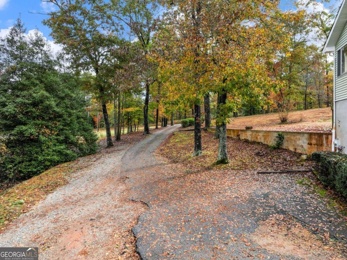 849 BLACKSNAKE Road Mount Airy - 42