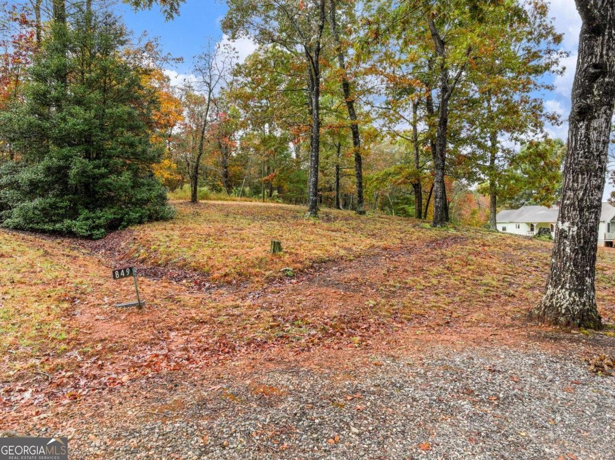 849 BLACKSNAKE Road Mount Airy - 45