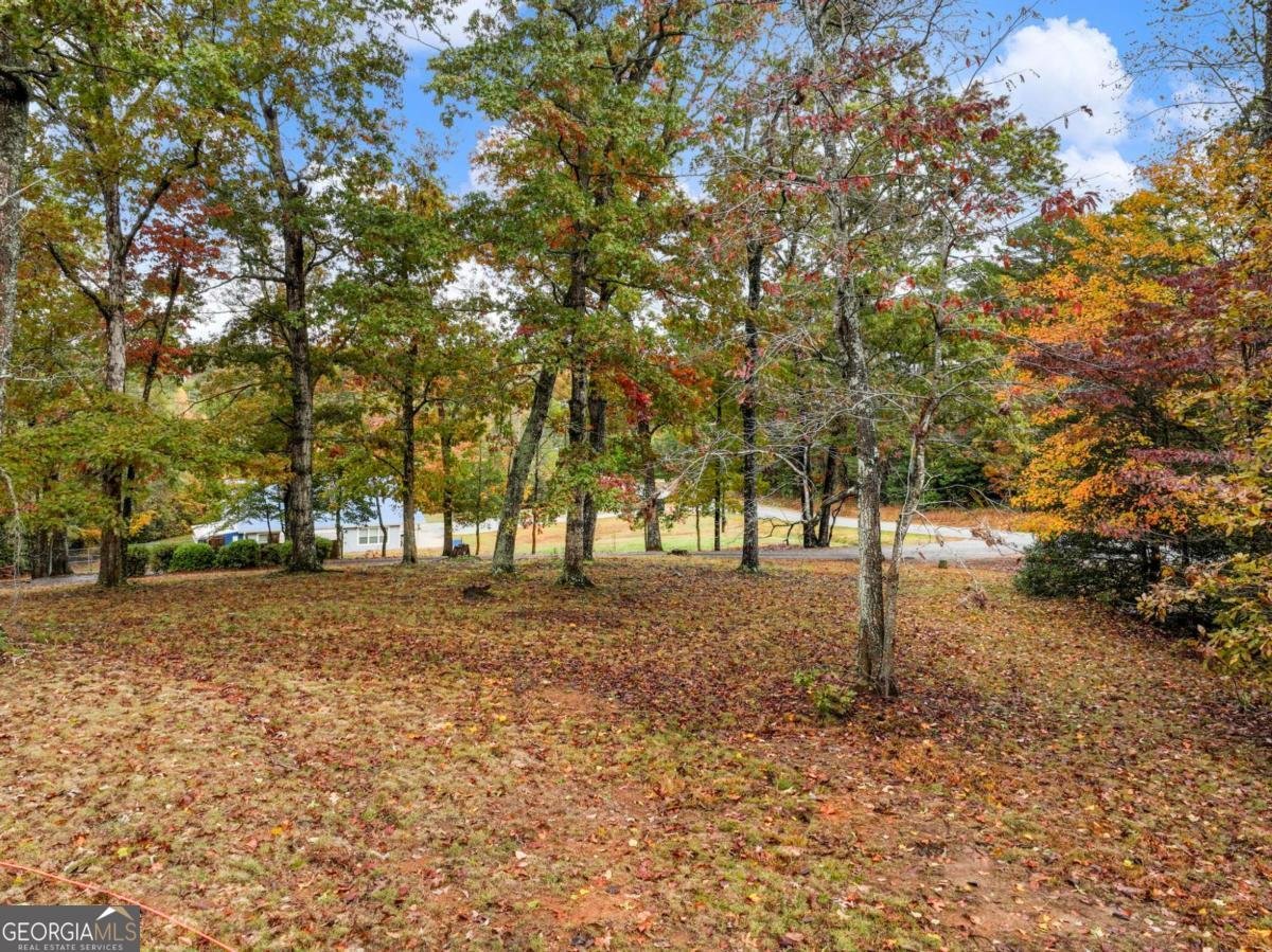 849 BLACKSNAKE Road Mount Airy - 46
