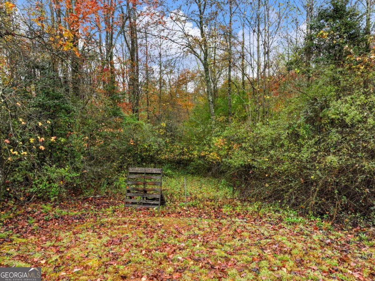 849 BLACKSNAKE Road Mount Airy - 49